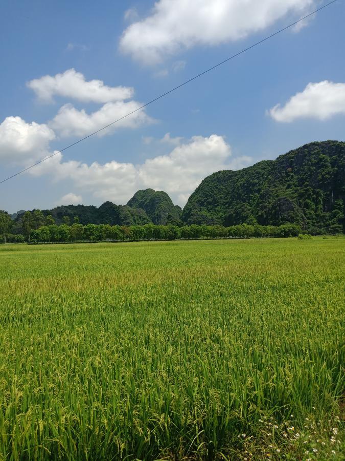 Tam Coc Valley Bungalow Ninh Binh Exterior photo